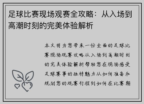 足球比赛现场观赛全攻略：从入场到高潮时刻的完美体验解析