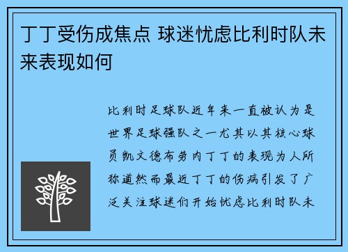丁丁受伤成焦点 球迷忧虑比利时队未来表现如何