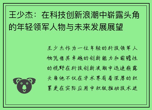 王少杰：在科技创新浪潮中崭露头角的年轻领军人物与未来发展展望