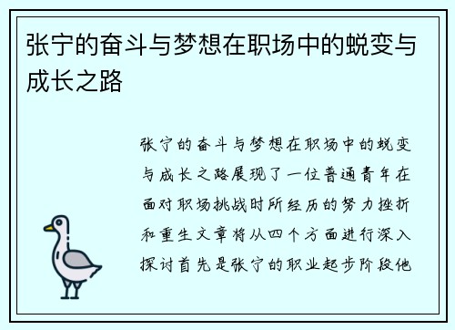 张宁的奋斗与梦想在职场中的蜕变与成长之路